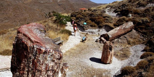 Sigri, GREECE: Tourists admire fossilised tree trunks at the Lesvos Petrified Forest, on the Greek Aegean island of Lesvos, in Sigri, 06 July 2007. A UNESCO heritage site, the petrified forest numbers around 70 trees of various sizes that are ancestors of today's pines and cypresses, and were fossilised when the area was covered in volcanic lava around 20 million years ago. AFP PHOTO / Aris Messinis (Photo credit should read ARIS MESSINIS/AFP/Getty Images)