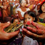 カエルがスピード離婚。雨乞いのために結婚し、新婚2カ月で豪雨に