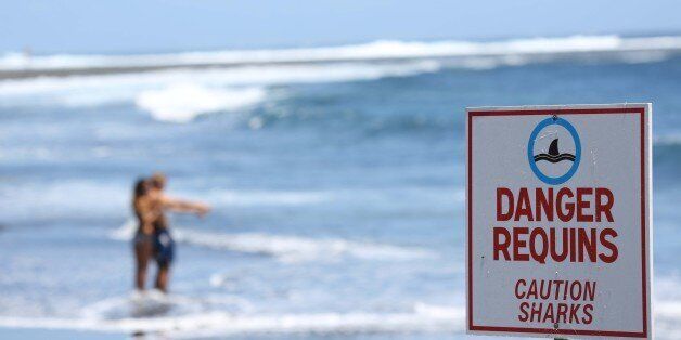 A couple stands on the beach near a sign reading 'Caution Sharks' in Etang-Sale, a region of the La Reunion island French territory on October 27, 2013 a day after a 24-year-old man was attacked by a shark. The young man had his leg severed in the attack as he swam fifteen meters away from the shoreline. The latest attack follows a string of shark attacks on the island in recent years. AFP PHOTO / RICHARD BOUHET (Photo credit should read RICHARD BOUHET/AFP/Getty Images)