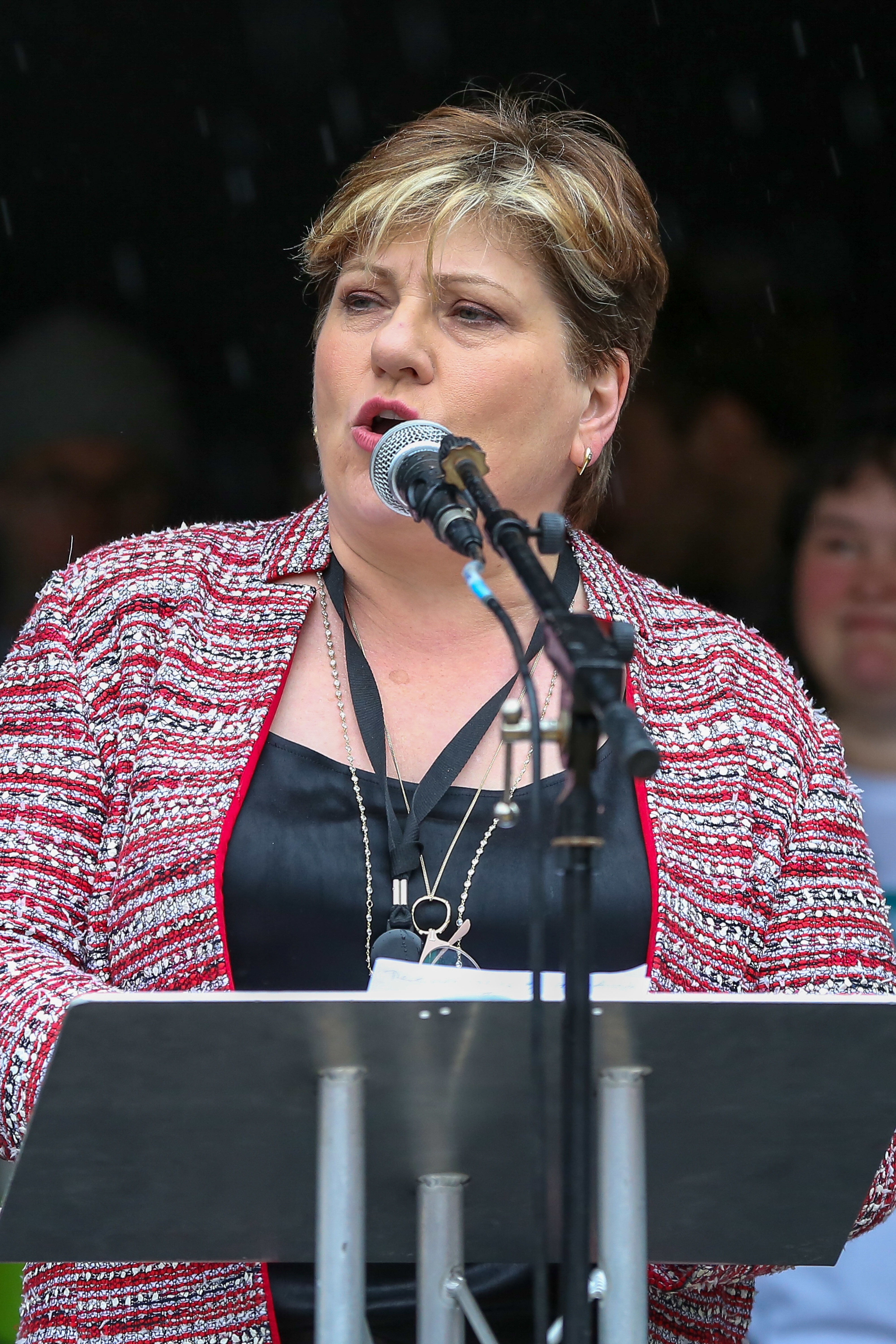 Emily Thornberry Slams MP Trigger Ballots As Election Looms | HuffPost ...