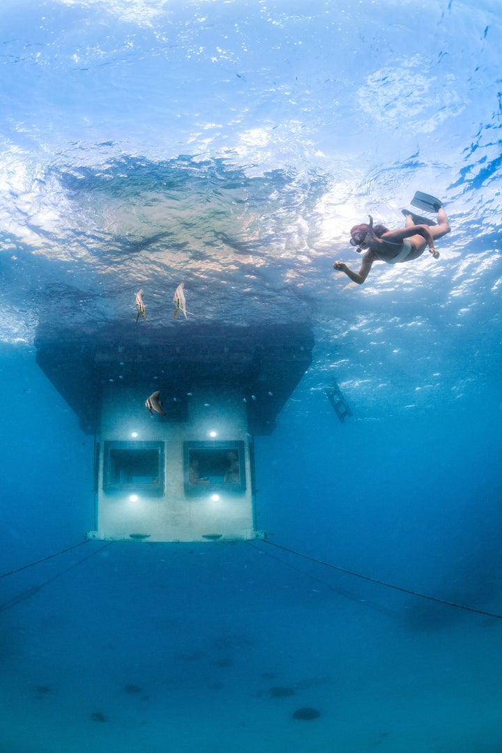 Steven Weber popped the question by swimming down to the submerged bedroom window and holding a note up to the glass. The underwater room is pictured.