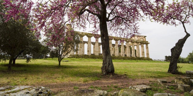 A Temple in Paestum (Italy) during spring season.