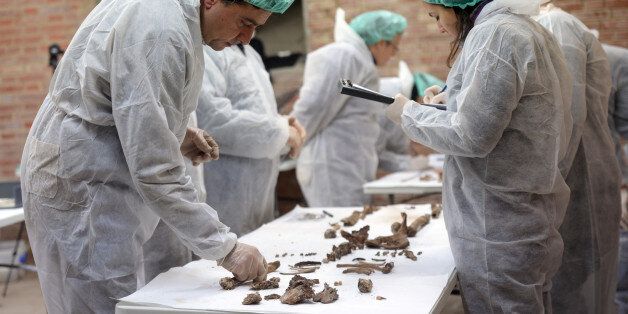 MADRID, SPAIN - JANUARY 24: Experts analyse bones to find the remains of the 17th Century author Miguel de Cervantes at the Convent of the Barefoot Trinitarians in Madrid, Spain on January 24, 2015. Miguel de Cervantes, considered to be Spains greatest writer and the author of 'Don Quixote' was buried in 1616 at the Convent of the Barefoot Trinitarians in Madrid, but the exact whereabouts of his grave within the tiny convent chapel are unknown. The second phase of the searching is begin after id