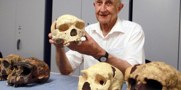 French paleontologist Henri De Lumley shows a skull uncovered in 1971 at the prehistoric site of Caune de l'Arago in Tautavel on July 16, 2013. Forty years after the discovery of the Man of Tautavel, homo erectus tautavelensis, the Caune de l'Arago still provides a wealth of clues for researchers, who in 2011 discoverd a baby tooth, suggesting Homo heidelbergensis, probably the ancestor of Homo sapiens in Africa and the Neanderthals in Europe, led a family life in the cave. AFP PHOTO / RAYMO