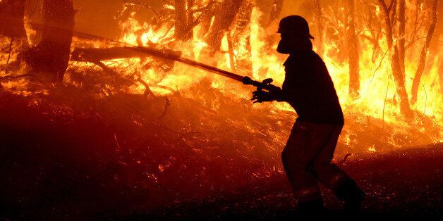 ADELAIDE HILLS - JANUARY 2, 2015: (EUROPE AND AUSTRALASIA OUT) MFS fire crews fight a bushfire on Wattle Road in Kersbrook, on January 2, 2015 in Adelaide Hills, Australia. (Photo by Campbell Brodie/Newspix/Getty Images)