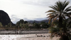 Les oasis marocaines face aux enjeux de la gestion