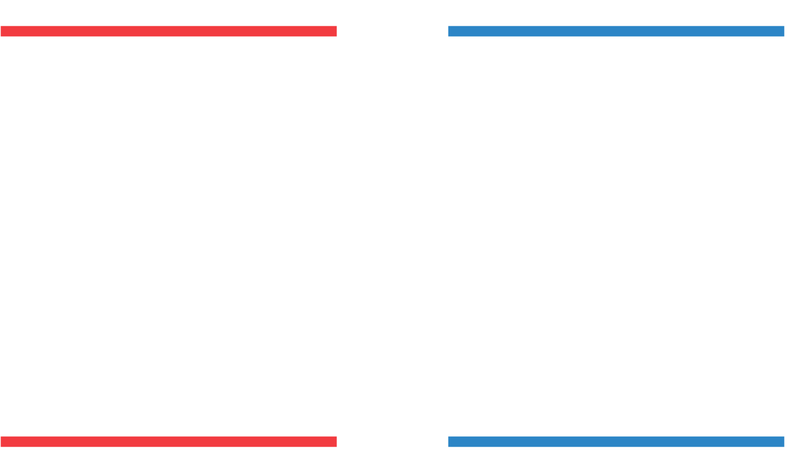 2020 Election