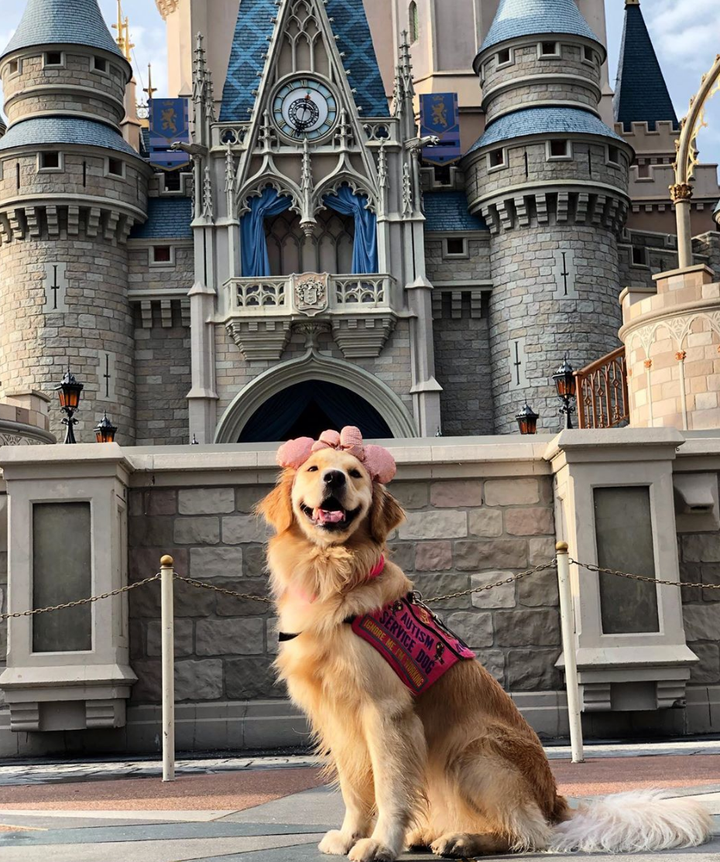 Service dog Nala in one of her favorite places: Disney World.