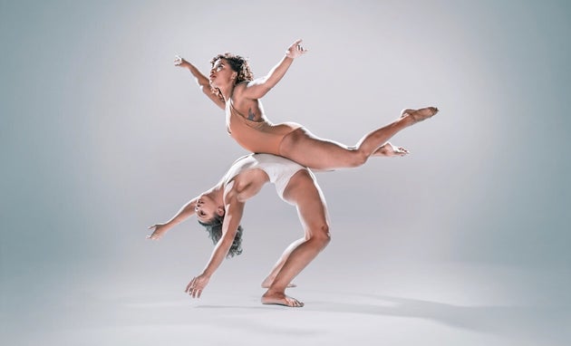 Pilobolus