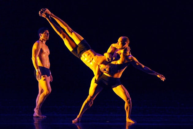 Pilobolus