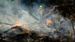 Après les incendies en Amazonie, 63 interpellations et 8,7 millions