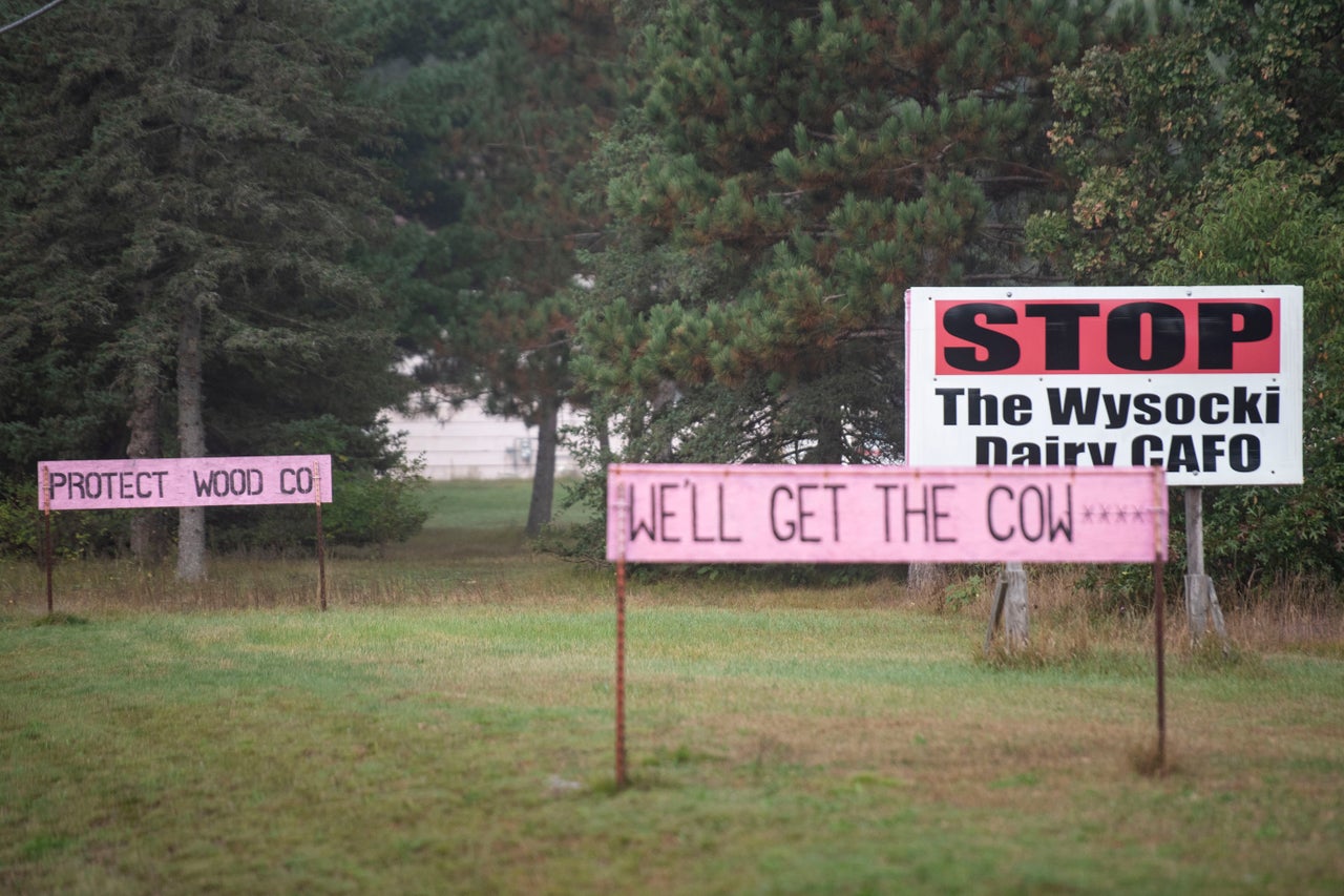 Signs protesting Wysocki and water contamination along Highway 73 in Saratoga, Wisconsin, on Sept. 20.