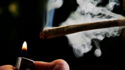 24 ans durant lesquels la connerie humaine a pris le sens d'une loi