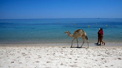Tourisme: Tout va très bien Madame La