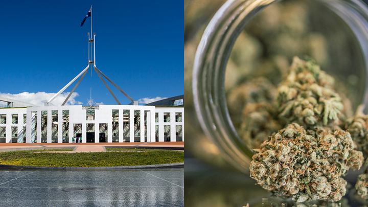 Canberra has passed a bill that legalises marijuana in the ACT. 