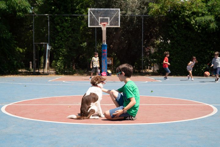 Πρωταγωνιστής της πιο συγκινητικής και τρυφερής ιστορίας που θα δούμε αυτό το φθινόπωρο είναι ο Πατατούφης.