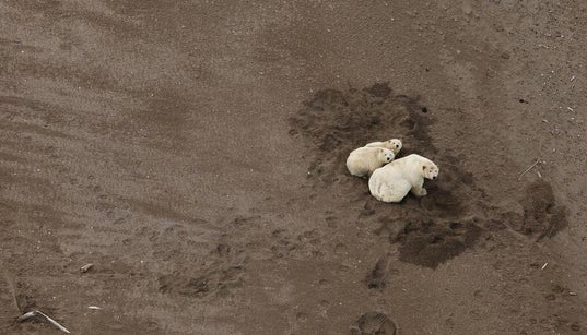 World’s Ice And Oceans Under Dire Threat, Shocking UN Report