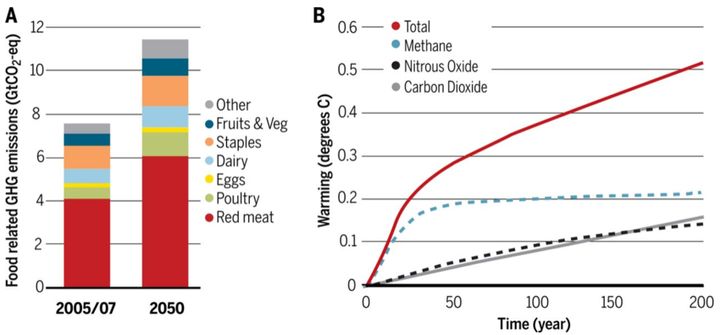 食肉vs肉以外の食品の環境影響