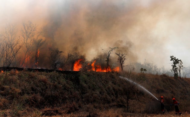 Firefighters work to put out a fire in the Chiquitania forest on the outskirts of Robore, Bolivia, Friday, Aug. 30, 2019. While some of the fires are burning in Bolivia's share of the Amazon, the largest blazes were in the Chiquitania region of southeastern Bolivia. It's zone of dry forest, farmland and open prairies that has seen an expansion of farming and ranching in recent years.  (AP Photo/Juan Karita)