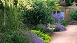 Comment désherber son jardin sans produits