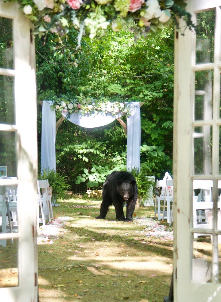 Bear walks down the aisle at Tennessee wedding.