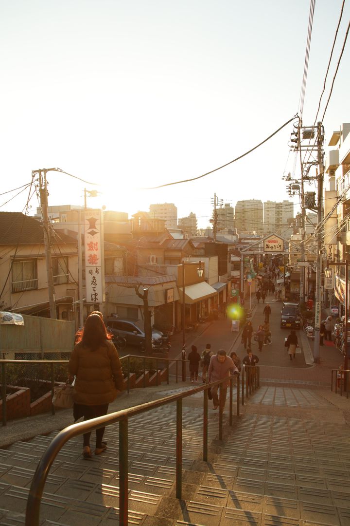 谷中銀座商店街に向かって降りる階段「夕焼けだんだん」（2016年）