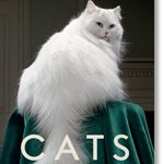 Comment photographier un chat, ce pro le savait mieux que