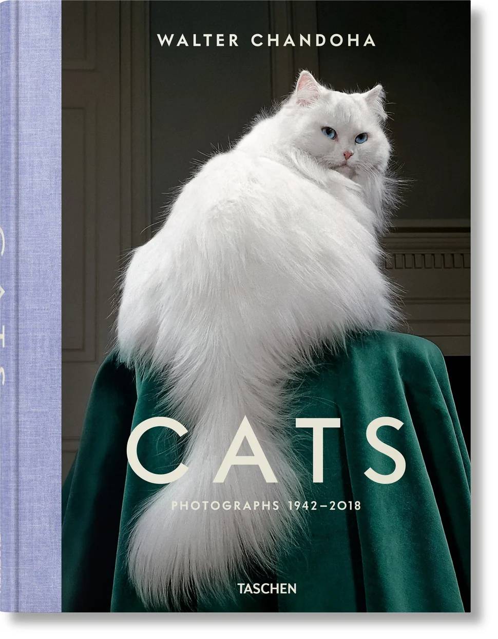 Comment Photographier Un Chat Ce Pro Le Savait Mieux Que Personne Le Huffington Post Life