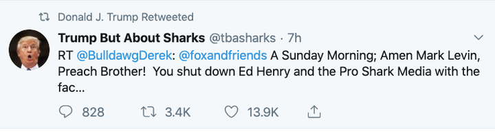 Screen shot of Trump's retweet of message attacking "pro shark media"