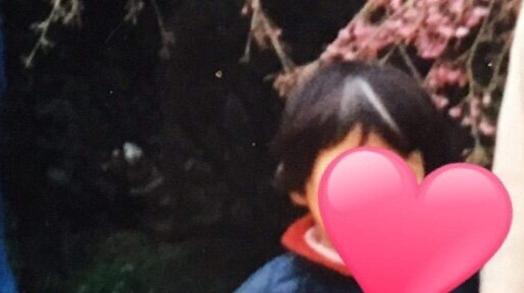 生まれつき白メッシュの私が受けた 黒髪信仰の圧力 ハフポスト 生まれつき白メッシュの私が受けた 黒髪信仰の圧力 ハフポスト