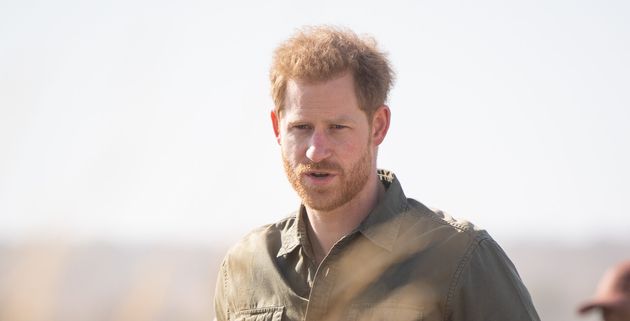 Prince Harry Guest Edits National Geographic Instagram To Share Beauty Of Trees