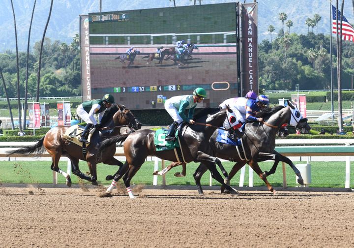 Horses race for the finish line in the Meliar Stakes on the last day of the Winter-Spring Meet at Santa Anita Park in Arcadia in June.
