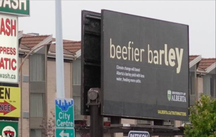 An image shared to social media of the "Beefier Barley" advertisement from the University of Alberta promoting the "positive" side of climate change.