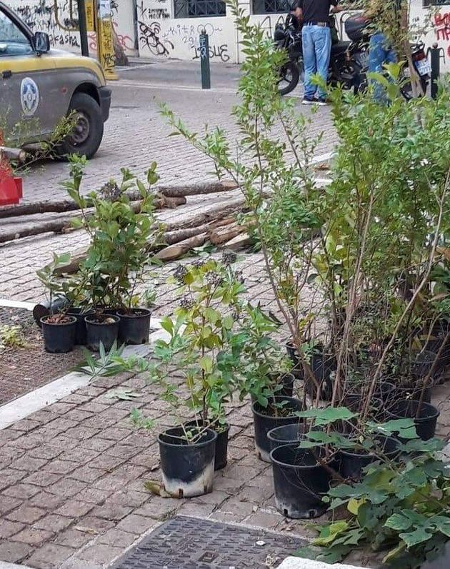 Aπό την παρέμβαση καθαριότητας του Δήμου Αθηναίων στον πεζόδρομο της Μασσαλίας και έξω από τη Νομική Σχολή. 1 Oκτωβρίου 2019