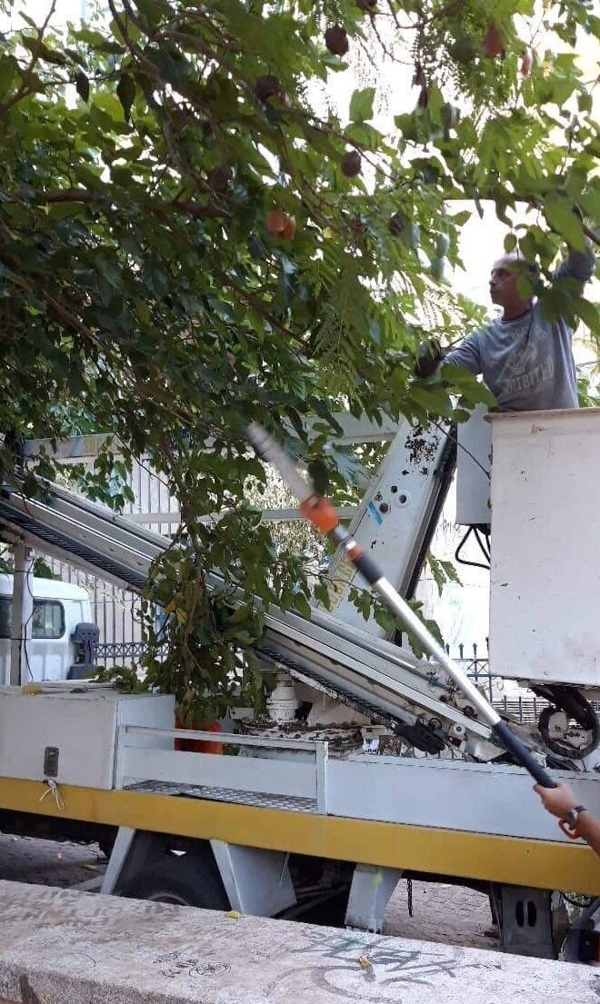 Aπό την παρέμβαση καθαριότητας του Δήμου Αθηναίων στον πεζόδρομο της Μασσαλίας και έξω από τη Νομική Σχολή. 1 Oκτωβρίου 2019