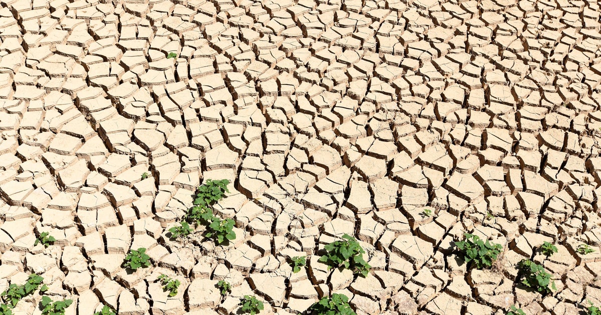 La Tunisie peine à mobiliser un appui international de 20 Milliards de dollars pour atténuer les impacts des changements climatiques - Al HuffPost