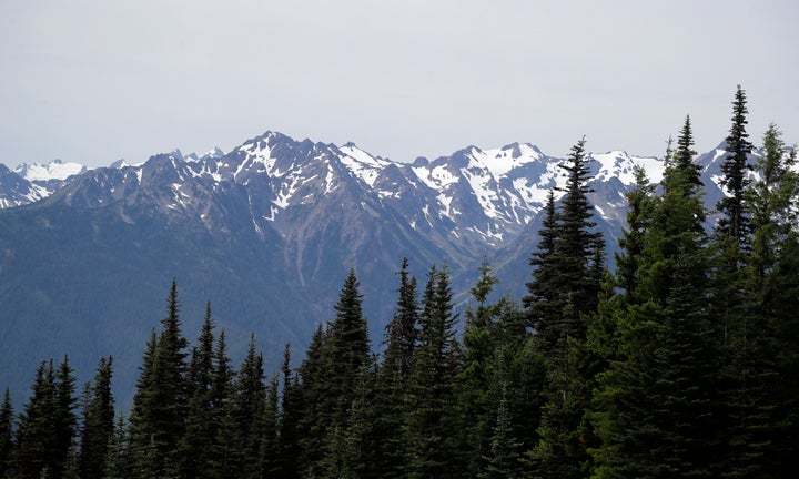 In this photo taken Tuesday, July 9, 2019, the Olympic Mountains are seen beyond a forest from Hurricane Ridge in the Olympic