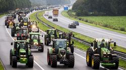 Aux Pays-Bas, des agriculteurs en tracteurs provoquent des bouchons