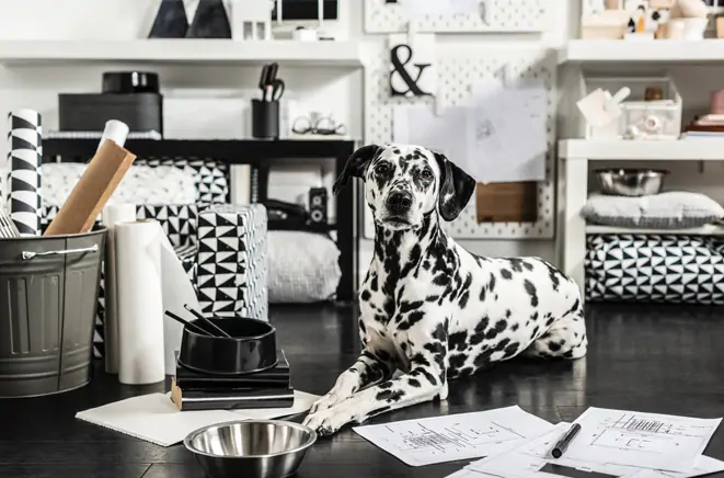 Ikea's new Lurvig line for pets matches with its furniture for people.