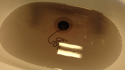 Cette eau noire filmée près de Rouen n’a rien à voir avec Lubrizol, assure la