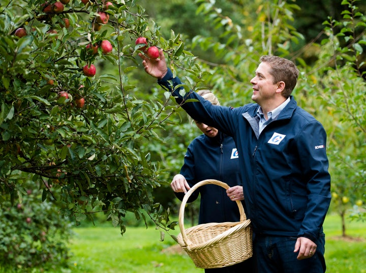 Conservative Leader Andrew Scheer and his wife Jill pick apples at the Triple Creek Farm during a campaign stop in Maple Ridge, B.C., on Friday, September 27, 2019.