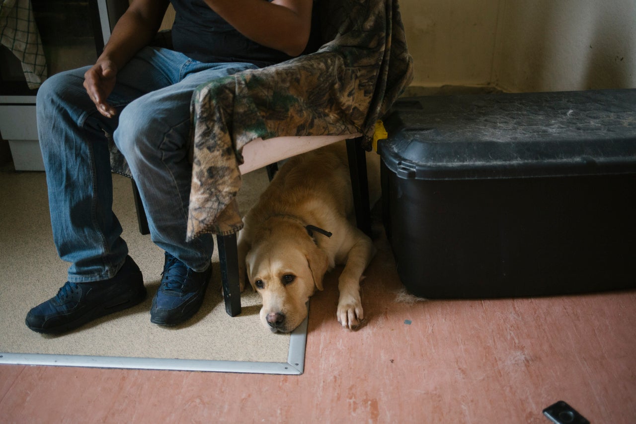 Mohammed with his guide dog