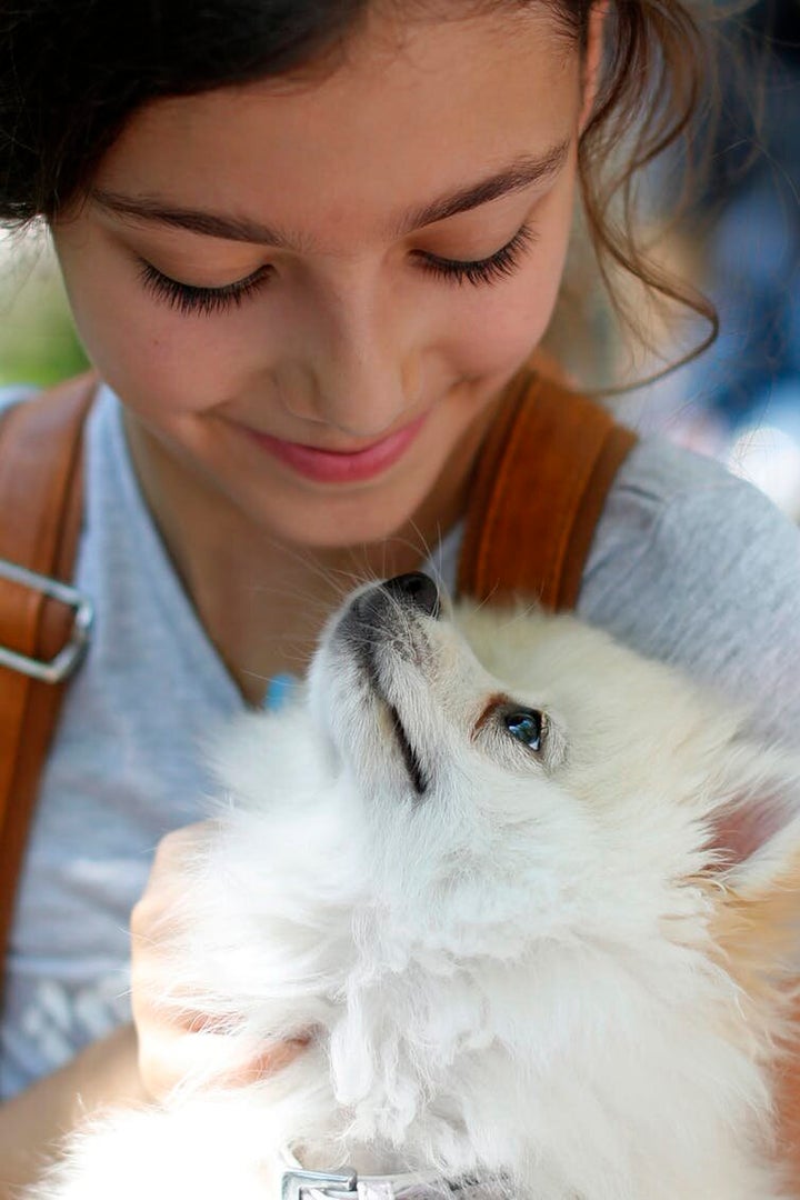 <i>Una niña con su perro en la 10.ª Exhibición Anual Canina, el pasado mes de junio en Beirut. Es posible que podamos interpretar la cara de los perros con facilidad porque evolucionaron junto al ser humano durante más de 100.000 años. <a href="http://www.cpimages.com/fotoweb/cpimages_details.pop.fwx?position=131&archiveType=ImageFolder&sorting=ModifiedTimeAsc&search=dog&fileId=7ED4E565C8CEED276553137C3F07278F0211563F5E7047DF3AAB663AE59BB0CF1642B0B80D34257E6710EC2568FB7698B59B4D70A14C35A5085499F7776FCE74F2B7765E8750034730859FC82D50AED991D2D934849019DFB3B41BCC634D8CD042F841C1FF39A6F82A1B1FF576DC98DFDFA8B4906E2B2637CA6ABE2F54441DF0E41DB96B4682A54674266B70D538C8384B7097AA1ED5BA40" rel="nofollow" data-ylk="subsec:paragraph;itc:0;cpos:27;pos:1;elm:context_link" data-rapid_p="14" data-v9y="1">(AP Photo/Hassan Ammar)</a></i>