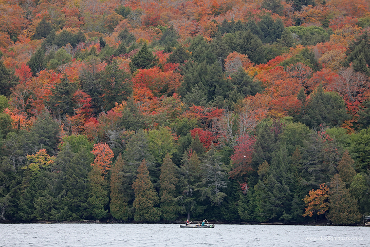 A photo taken at Algonquin Park on Sept. 30, 2019.