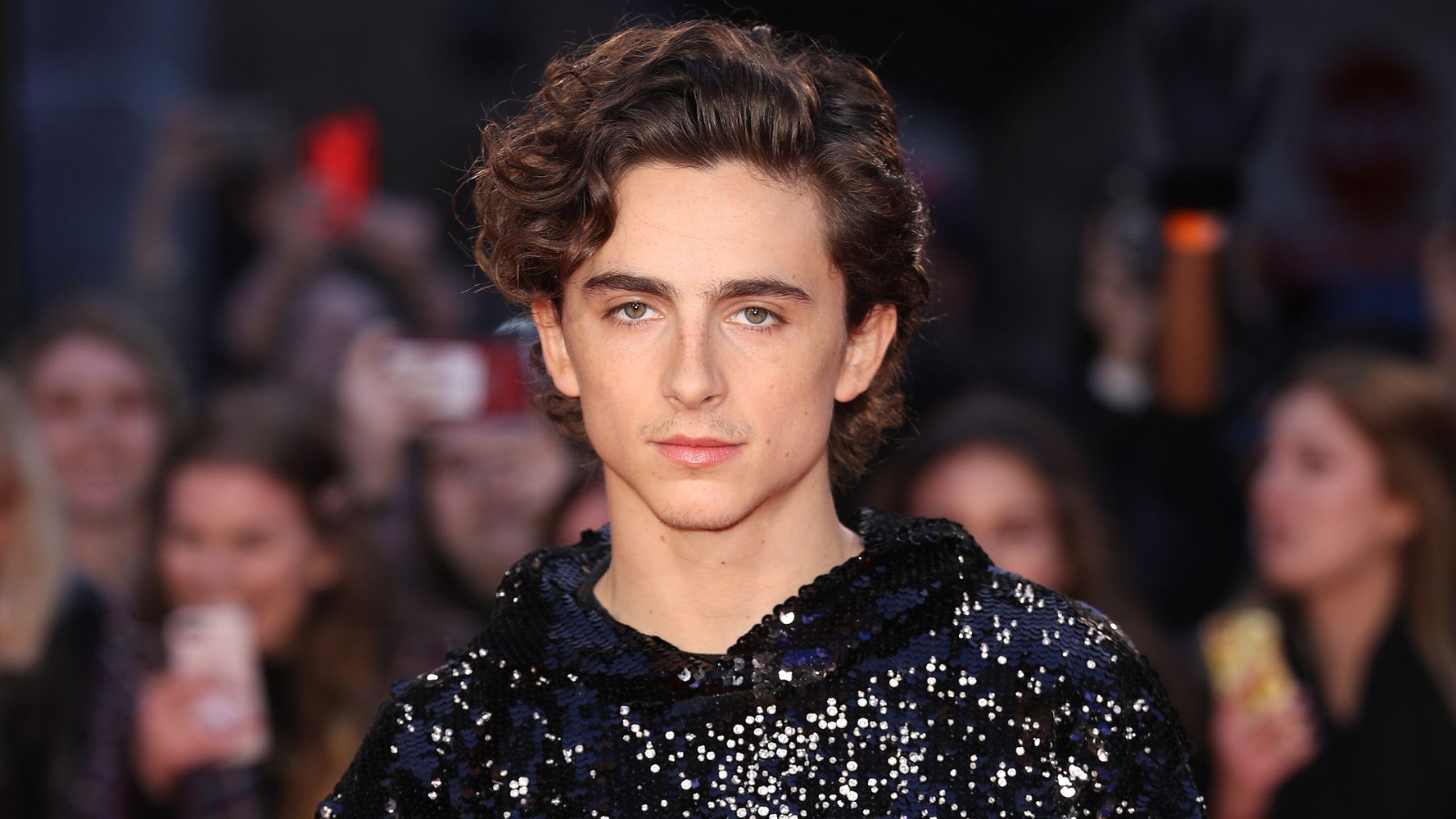 Timothée Chalamet Just Wore The Sparkly Sweatshirt Of Your M
