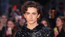 Timothée Chalamet Just Wore The Sparkly Sweatshirt Of Our Middle School Dreams