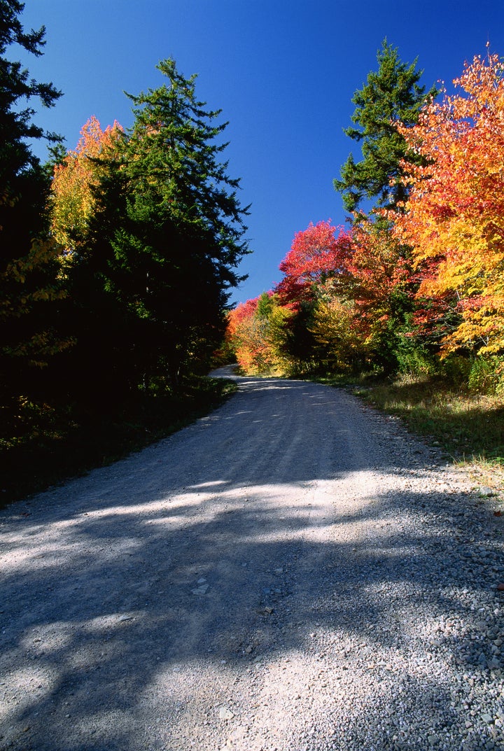 Laverty Road, Fundy National Park, New Brunswick, Canada