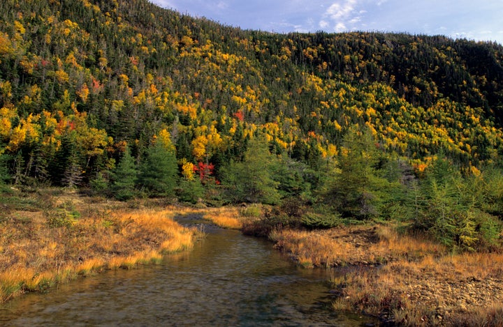 Wallace Brook Valley in the Tablelands area of Gros Morne National Park.