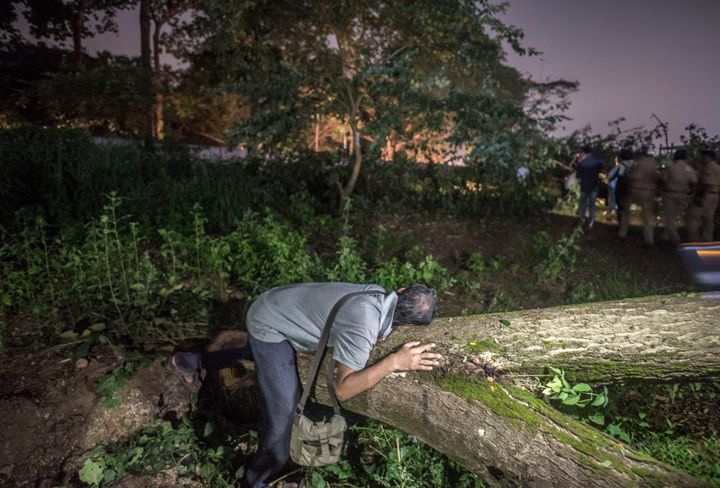 MUMBAI, INDIA - OCTOBER 4: Trees cutting started at Aarey , Activists break barricades to stop authorities from cutting at the main gate of Metro car shed , Picnic point, Aarey colony , Goregaon east on October 4, 2019 in Mumbai, India. (Photo by Satyabrata Tripathy/Hindustan Times via Getty Images)