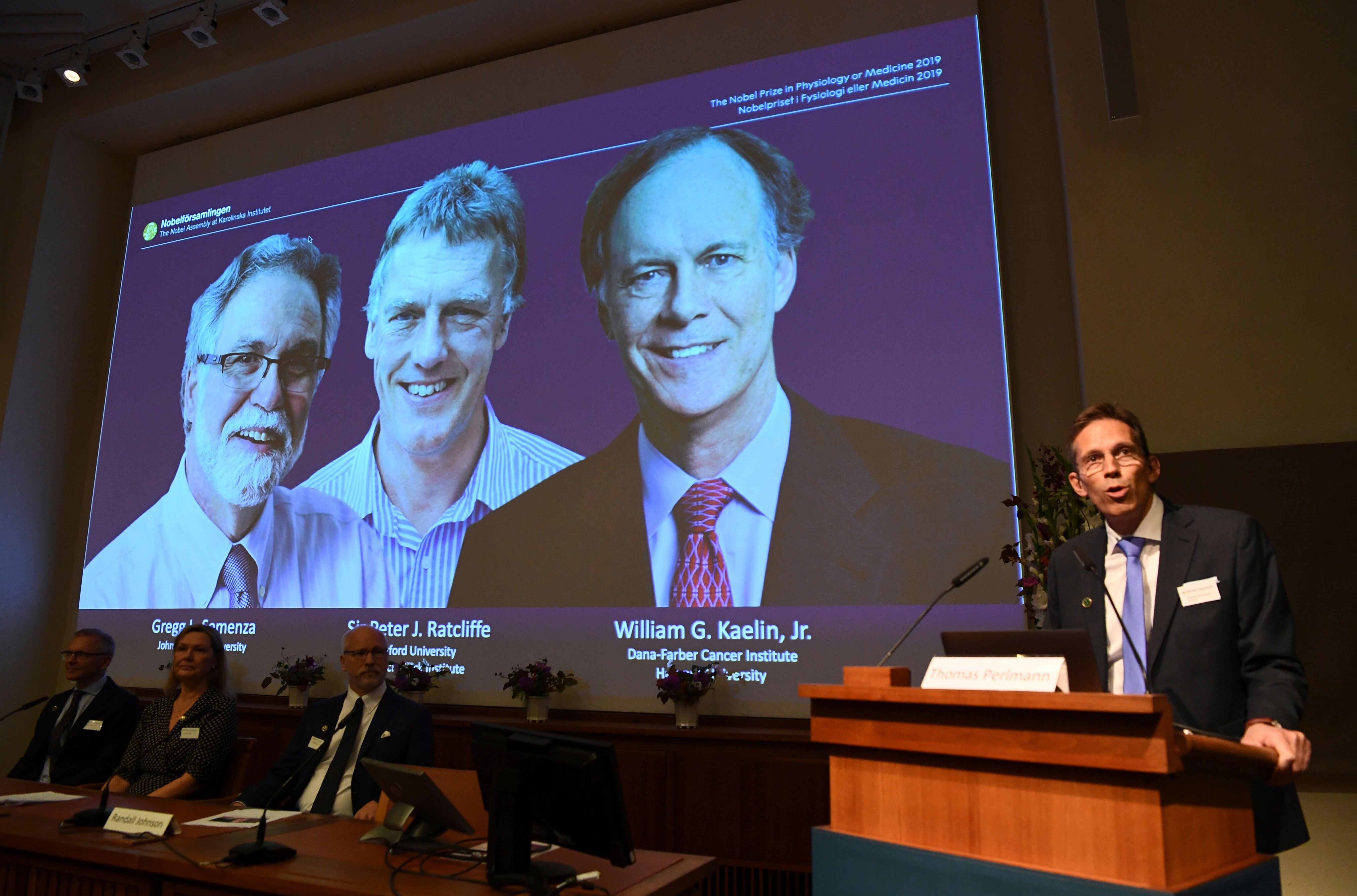 3 Scientists Win Nobel Medicine Prize For Work On How Cells Adapt To Oxygen Availability
